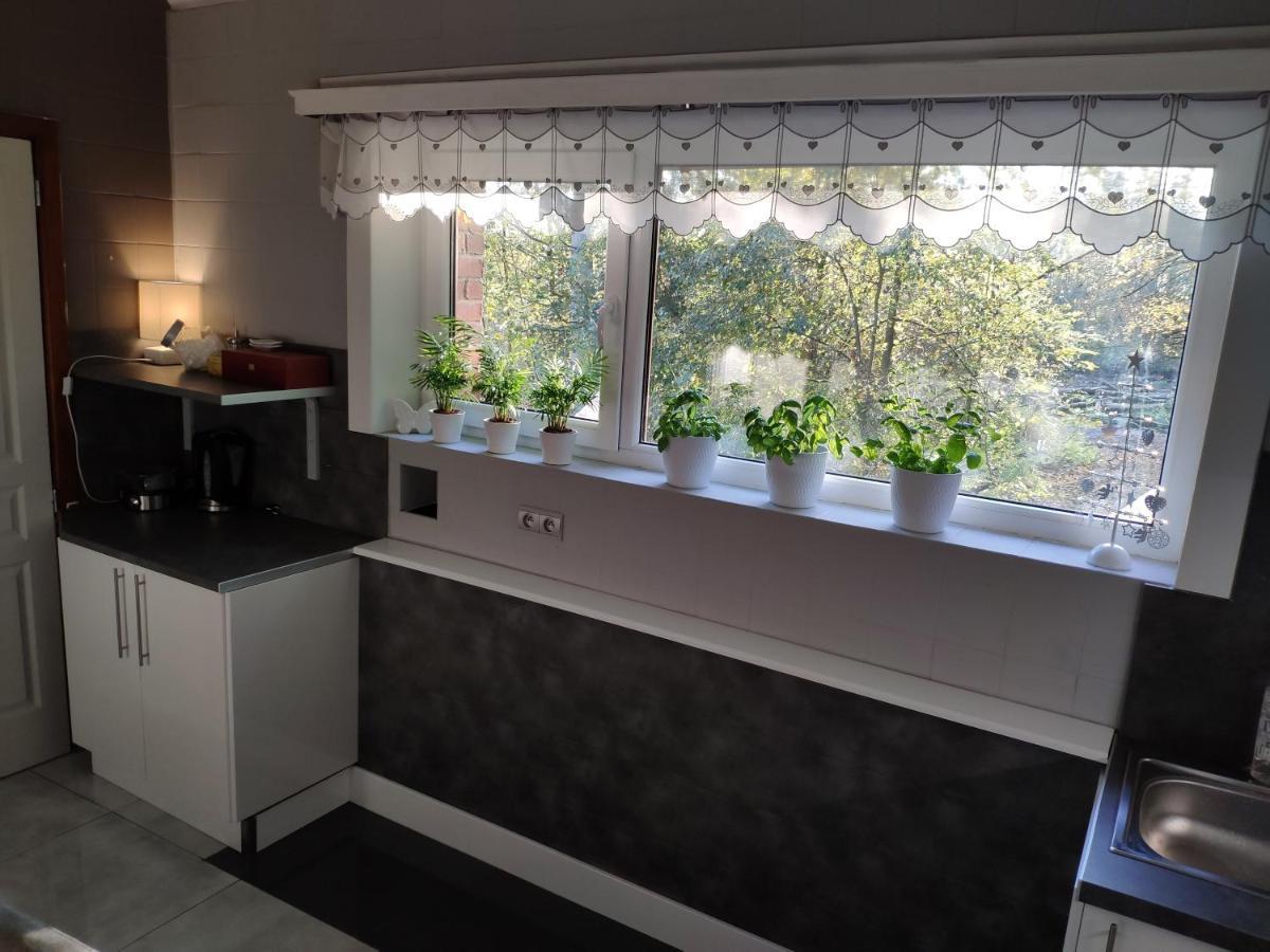Villa Eden Basecles Zewnętrze zdjęcie