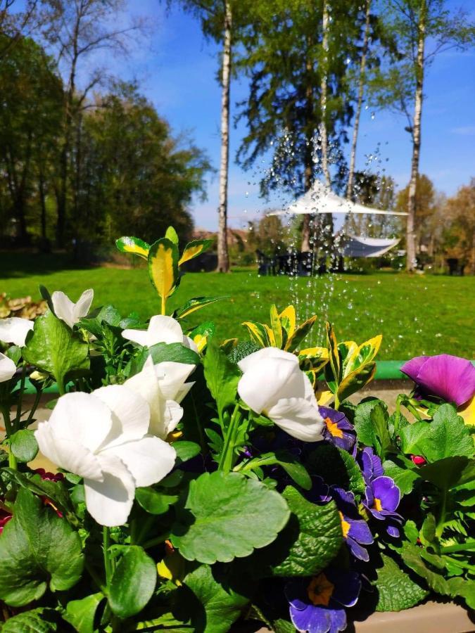 Villa Eden Basecles Zewnętrze zdjęcie